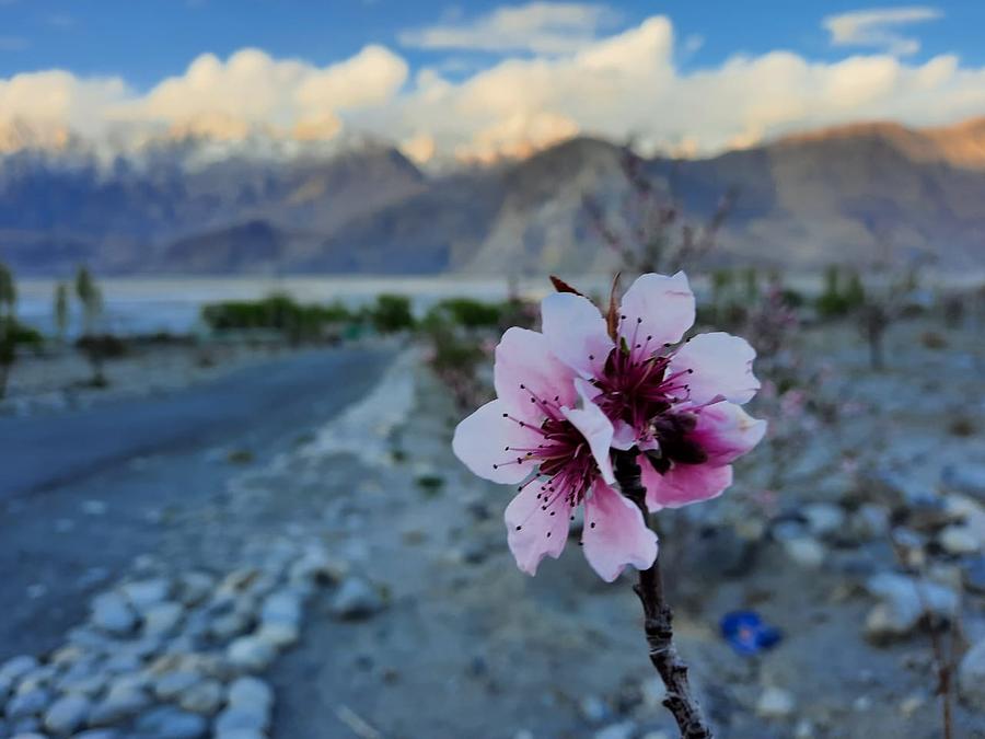 Unique Natural Scenery Photograph by Tahir Zakria - Fine Art America