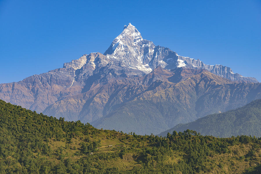 Unique shape of the Machhapuchhre (Fish Tail) peak with blue sky from Pokhara, Nepal. Photograph by Copyright by Siripong Kaewla-iad