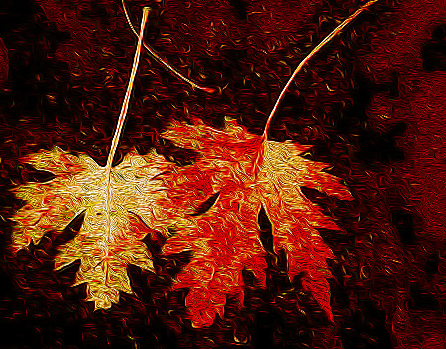 United Fall Digital Art by Margaret Meg Murray - Fine Art America