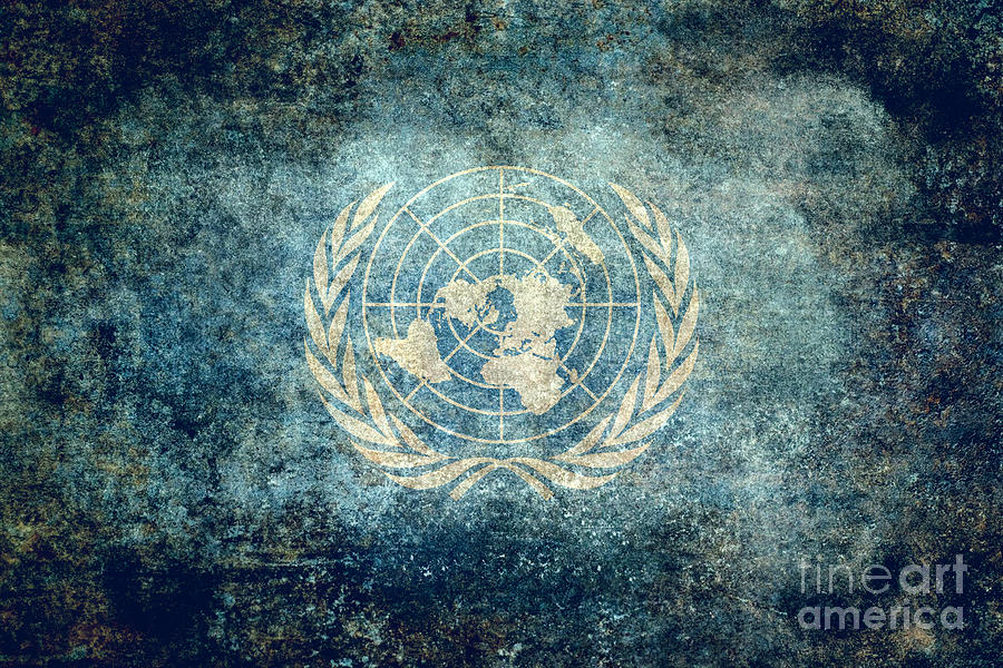 Flag Digital Art - United Nations Flag by Sterling Gold