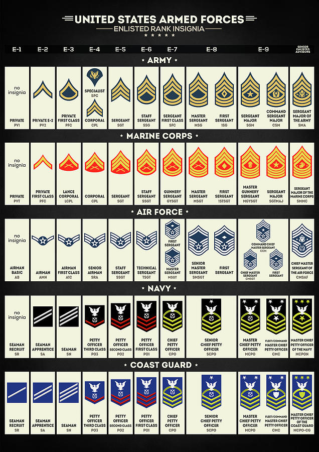 United States Armed Forces Enlisted Rank Insignia Digital Art by ...
