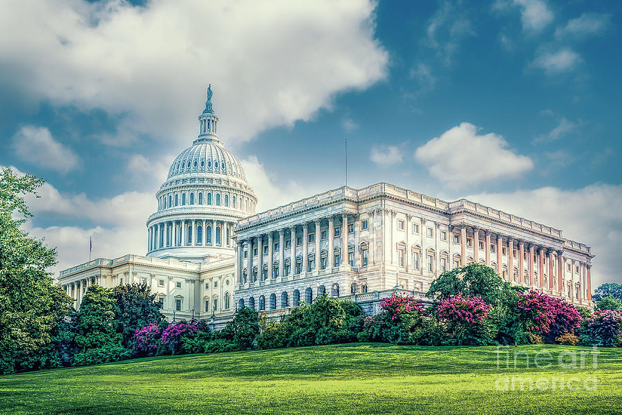 United States Capitol Photograph by Nick Zelinsky Jr