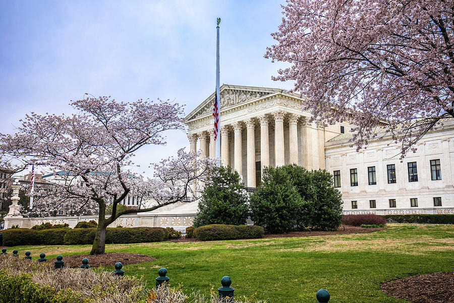 United States Supreme court front facade view through cherry blo ...