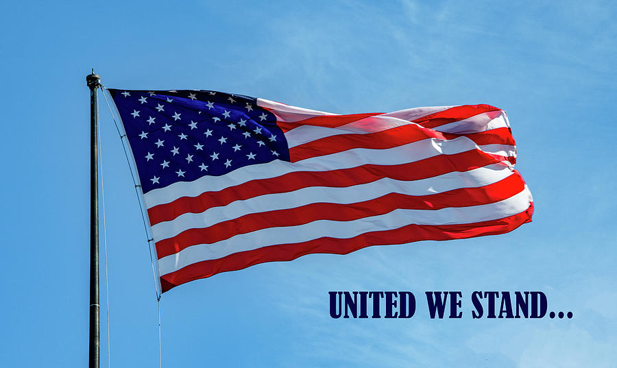 United We Stand, Flag Version Photograph by Marcy Wielfaert
