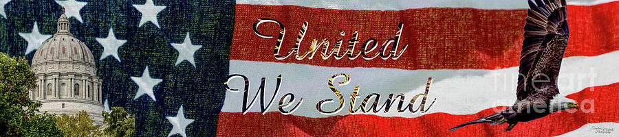 United We Stand Patriotic Pano Photograph by Jennifer White