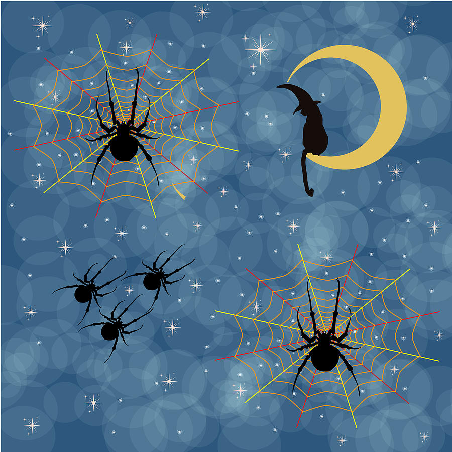 Universal spider with witchy cat Digital Art by Kim Prowse