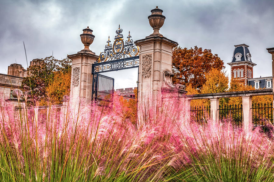 University Of Arkansas Photograph - University of Arkansas and Old Main Centennial Gate in Autumn by Gregory Ballos