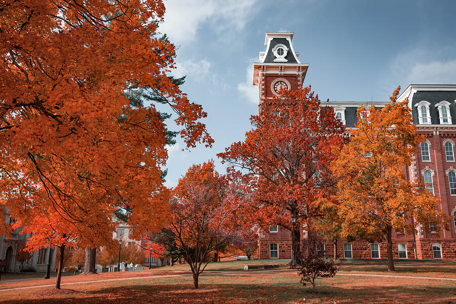 University of Arkansas Autumn Campus Landscape At Old Main Photograph ...