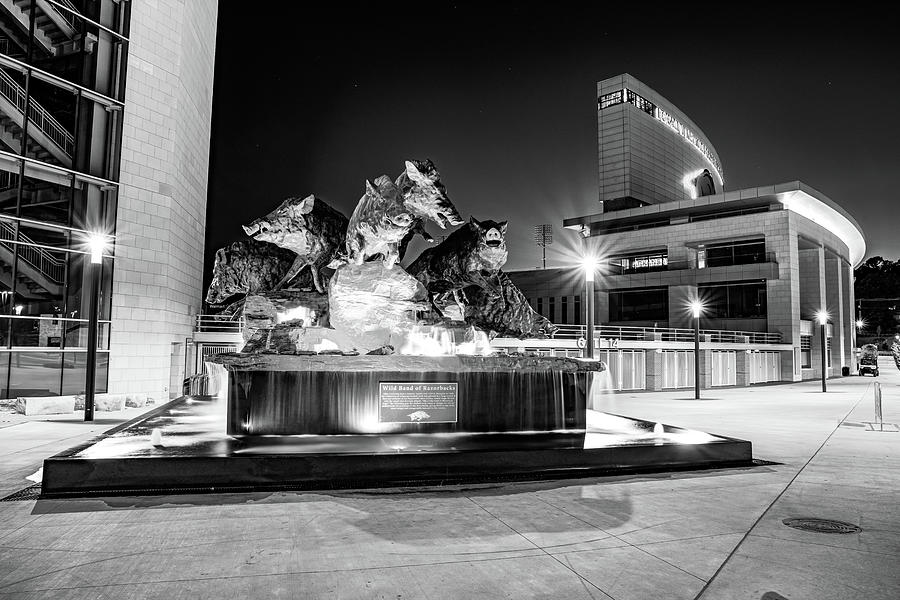 University of Arkansas Razorbacks Fountain And Football Stadium - Black and White Photograph by Gregory Ballos