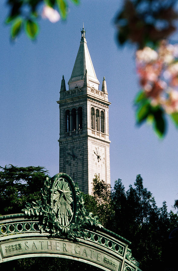 University of California, The Campanile, Alamada County, Berkeley, California, United States of America, North America Photograph by John Elk III