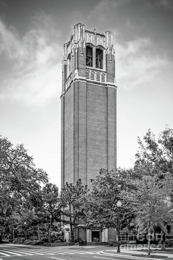 University Of Florida Photograph - University of Florida Century Tower by University Icons