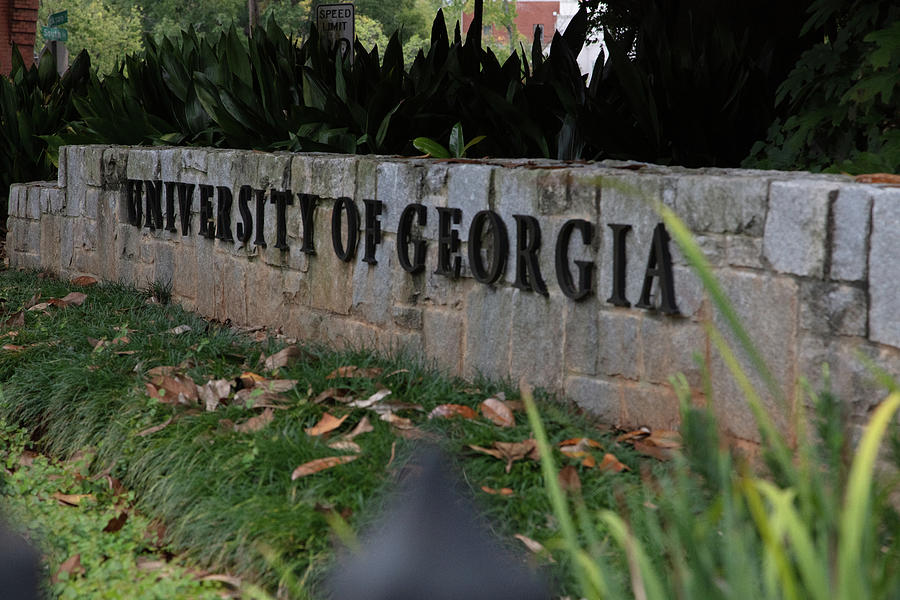 University of Georgia sign Photograph by Eldon McGraw