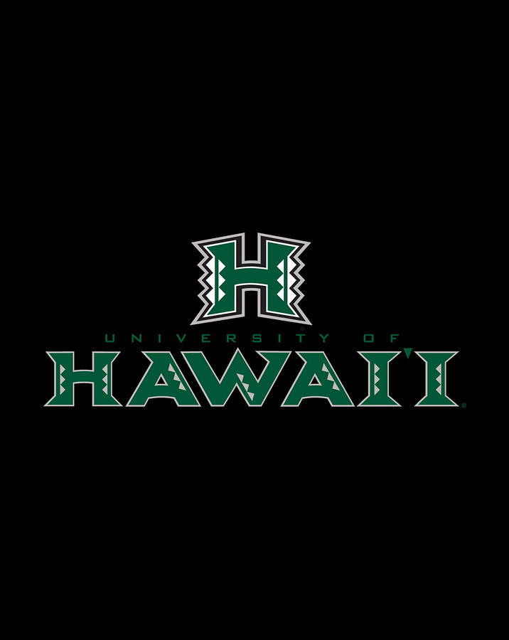 University of Hawaii Rainbow Warriors NCAA PPUHAW03 Digital Art by Andy ...