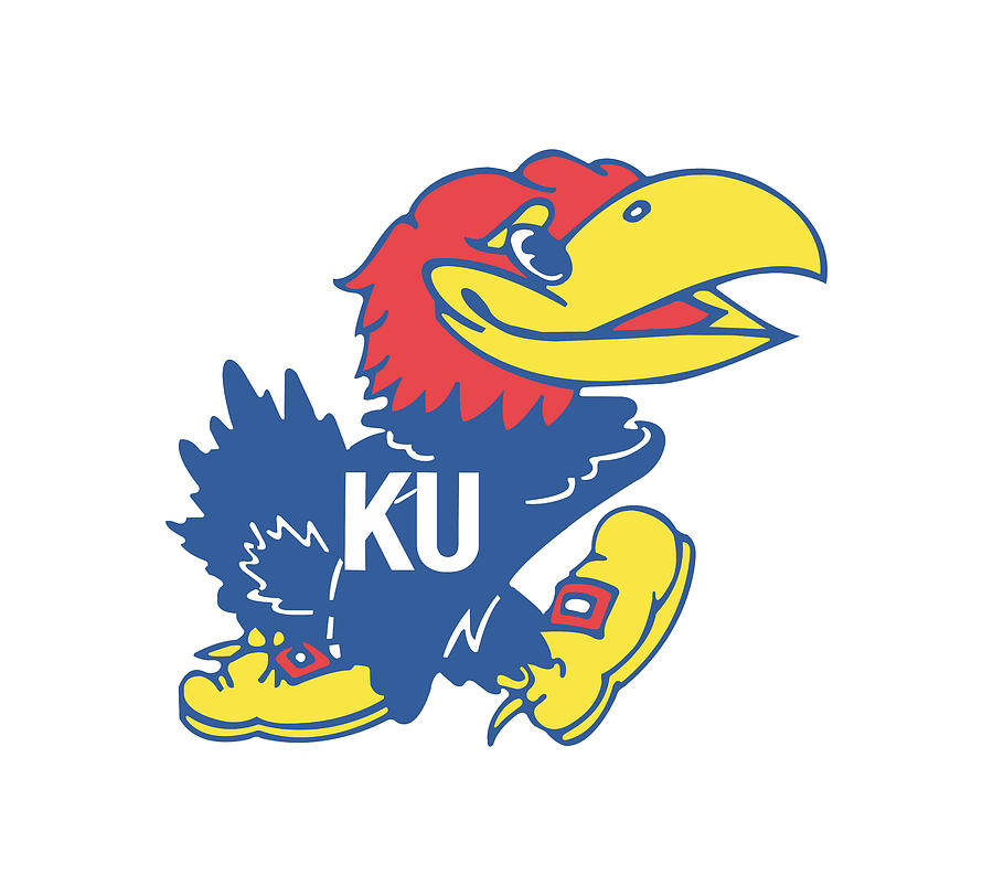 University of Kansas Jayhawks Drawing by Ronald Branon