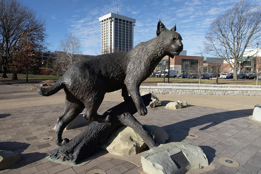 University of Kentucky Wildcat statue Photograph by Eldon McGraw