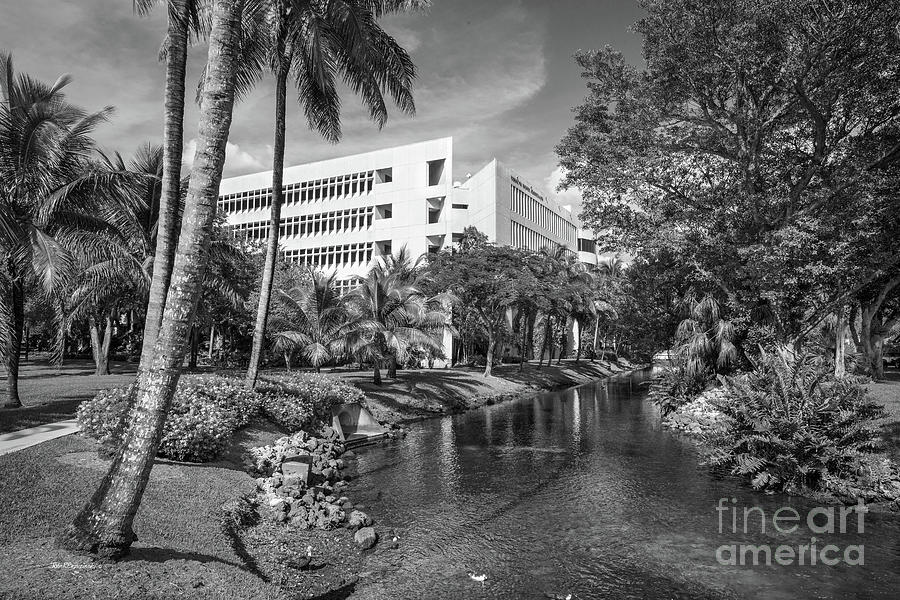 University of Miami School of Business Administration  Photograph by University Icons