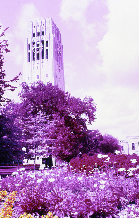 University of Michigan Bell Tower Photograph by Stan Gregg - Fine Art ...