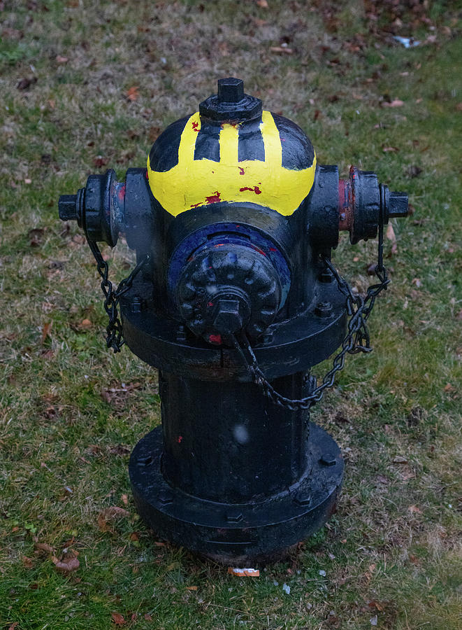 University of Michigan fire hydrant Photograph by Eldon McGraw