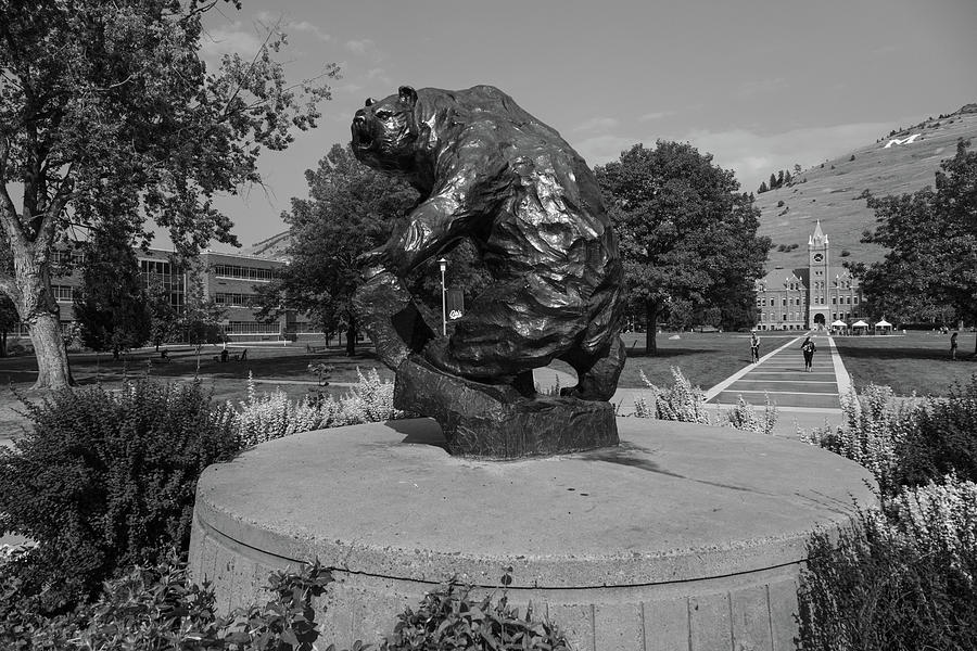 University of Montana Grizzly statue - Grand Griz in black and white Photograph by Eldon McGraw