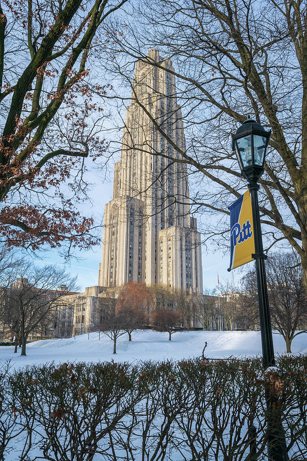University Of Pittsburgh Campus In Winter Photograph by Aaron Geraud