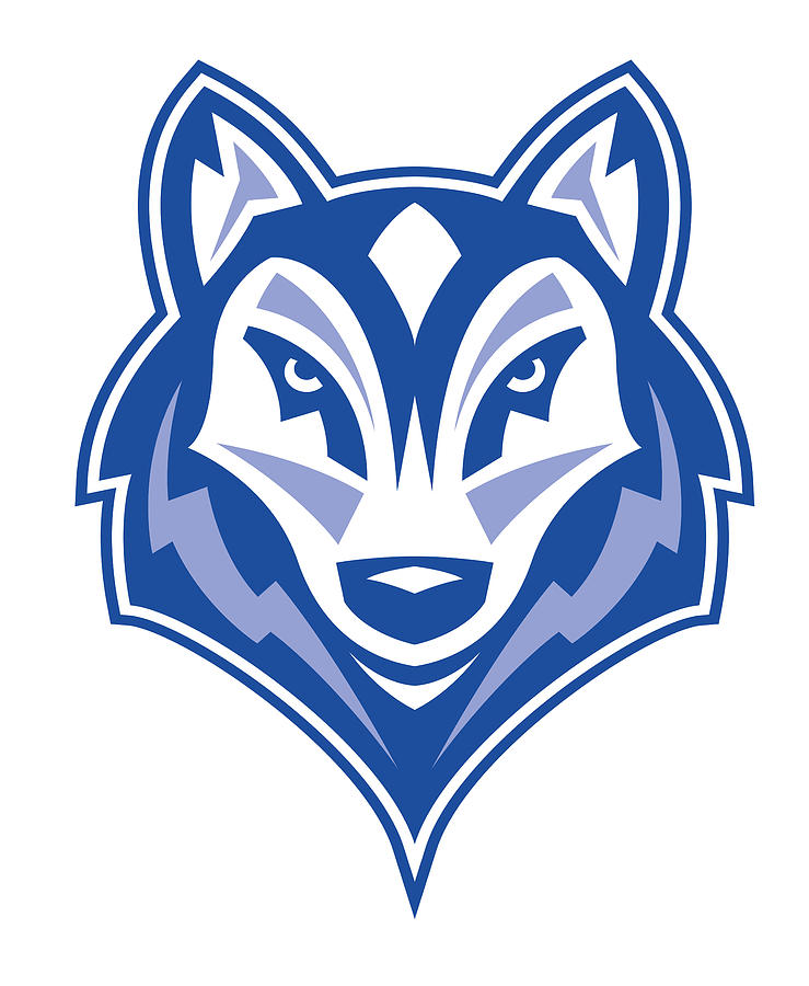 University of Southern Maine huskies Digital Art by Tolee Falle - Fine ...