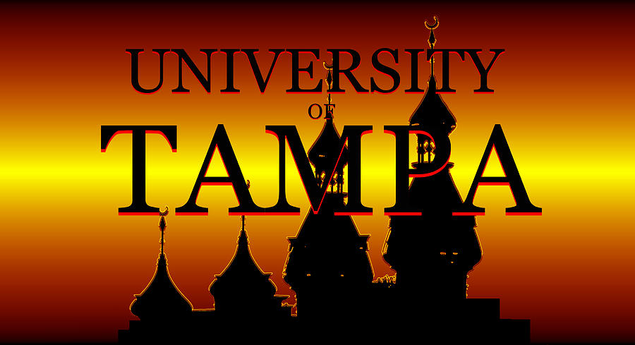 University of Tampa minarets work A Mixed Media by David Lee Thompson