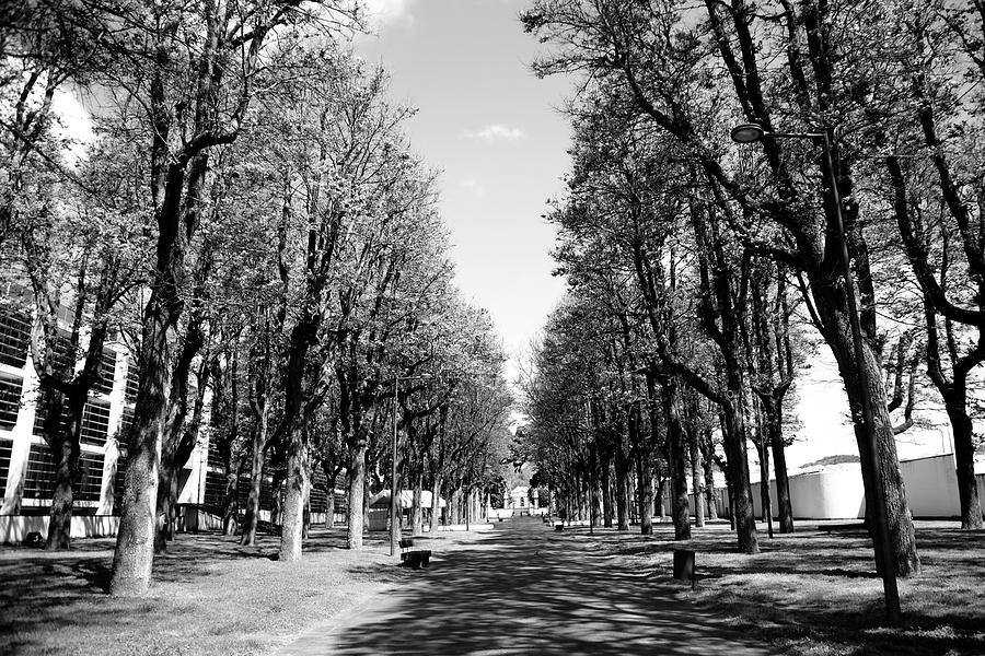 University Of The Azores Photograph by Joshua Schwartz - Fine Art America