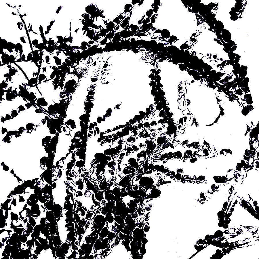 Unless Digital Art by Fran Hogan Unless Digital Art by Fran Hogan