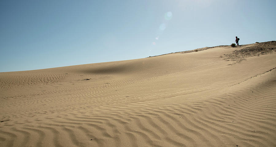 Sand dunes dry land against blue sky Photograph by Michalakis Ppalis
