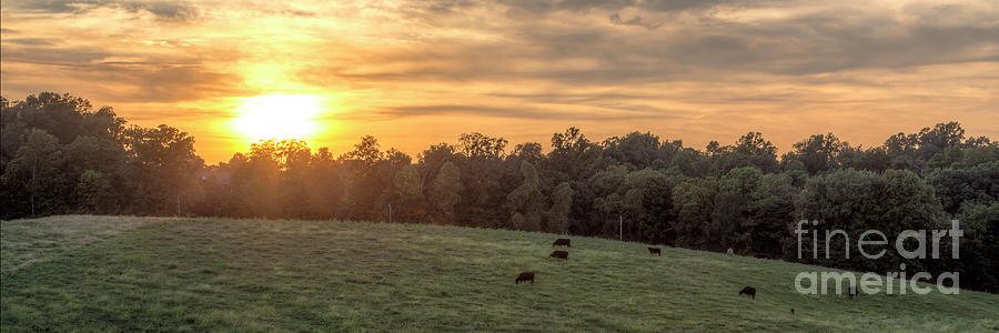 2015 Photograph - Until the Cows Come Home by Larry Braun 2015 Photograph - Until the Cows Come Home by Larry Braun