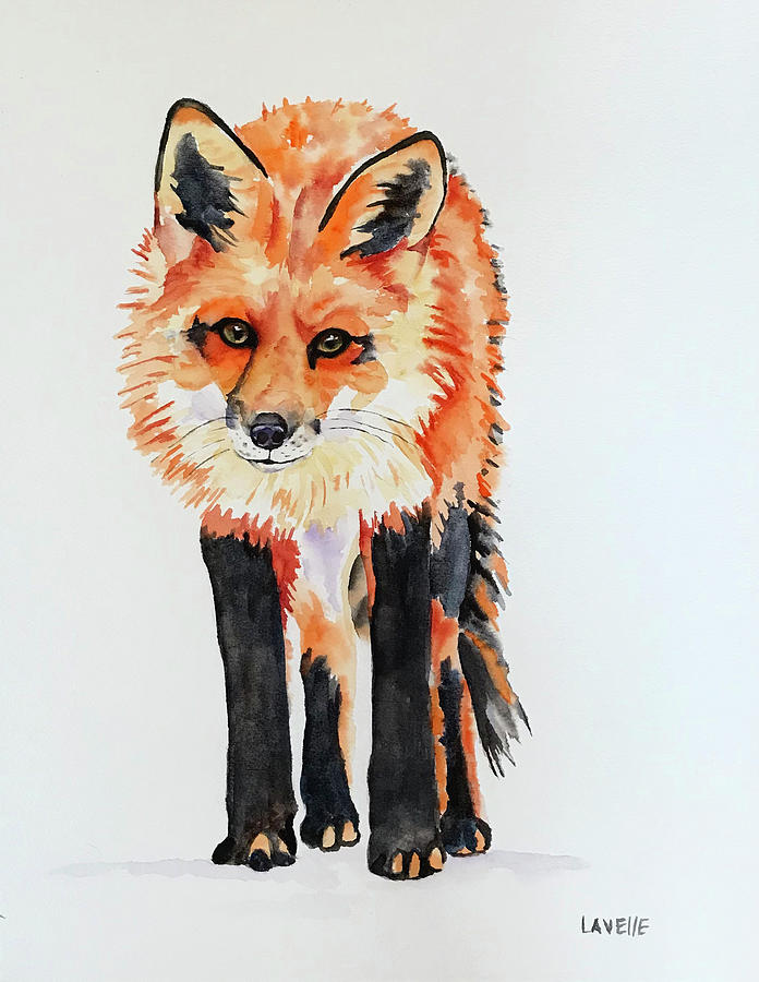 Animal Portraits Painting - Untitled by Kimberly Lavelle