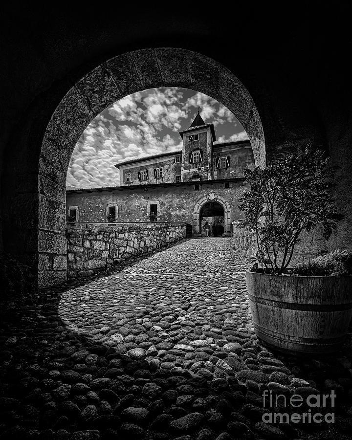 Unusual view of Thun castle bnw Photograph by The P