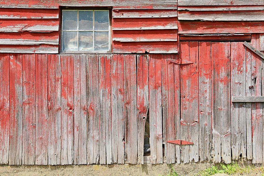 Unwanted Red Barn Photograph by David Letts