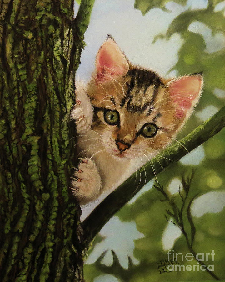 Cat Pastel - Up A Tree by Lesa Aker