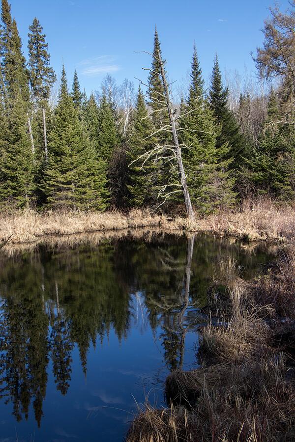 Up Along the Arrowhead Trail Photograph by Gary Arands - Fine Art America