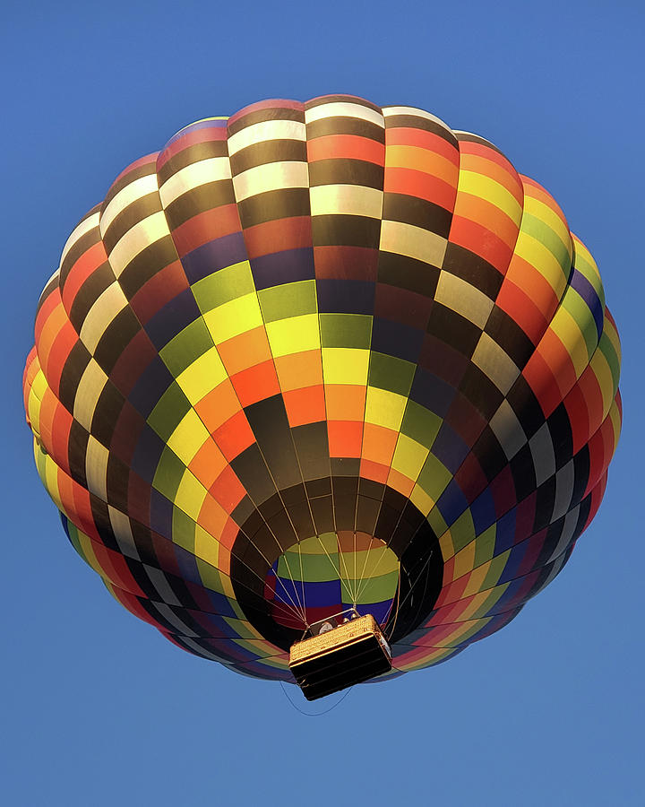 UP AND AWAY Colorful Hot Air Balloon Photograph by Lynnie Lang