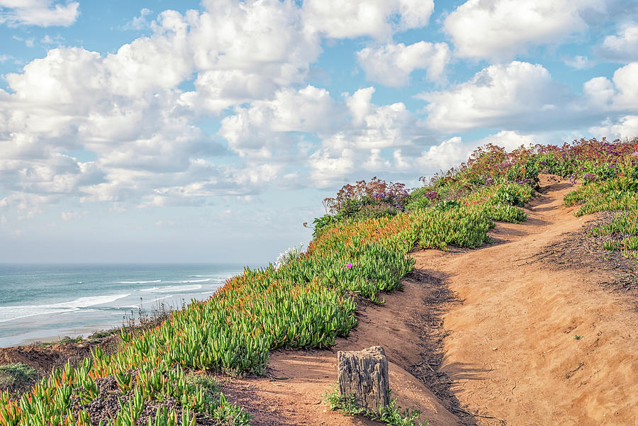 On The Trail Torrey Pines State Beach Photograph by Joseph S Giacalone