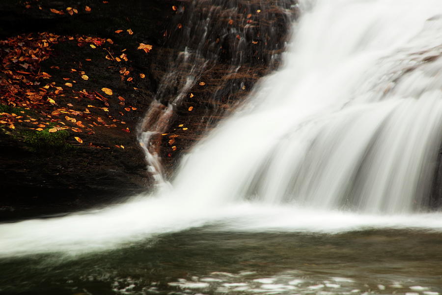 Up Close Of Mill Creek Photograph