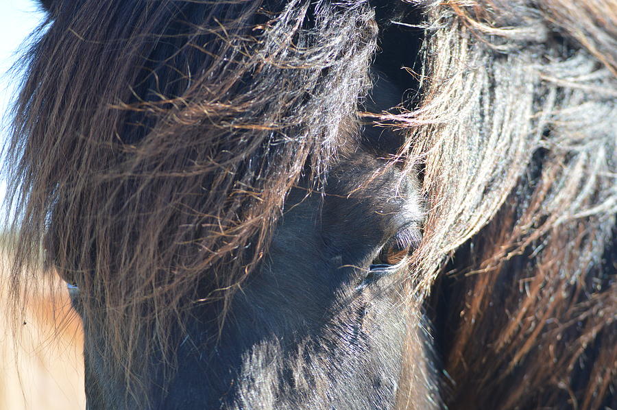 Up Close Photograph by Spencer Sinclair - Fine Art America