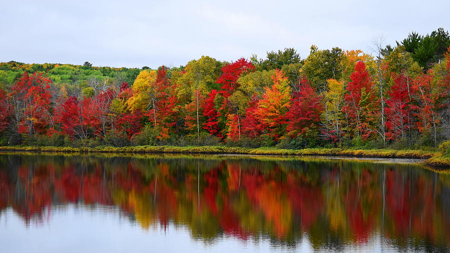UP Colors Photograph by Terry M Olson