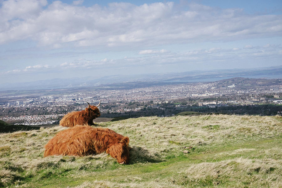 Edinburgh Photograph - Up On The Hill by Tanya Doan