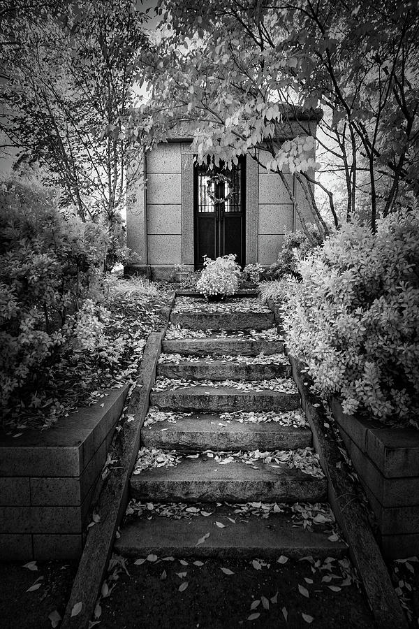Up the Autumn Staircase bw Photograph by Dan Carmichael