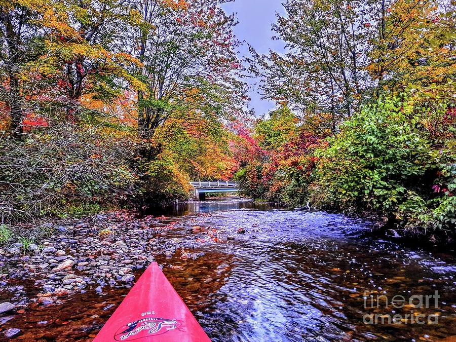 Up the Creek -  - Webster Lake, New Hampshire Photograph by Dave Pellegrini