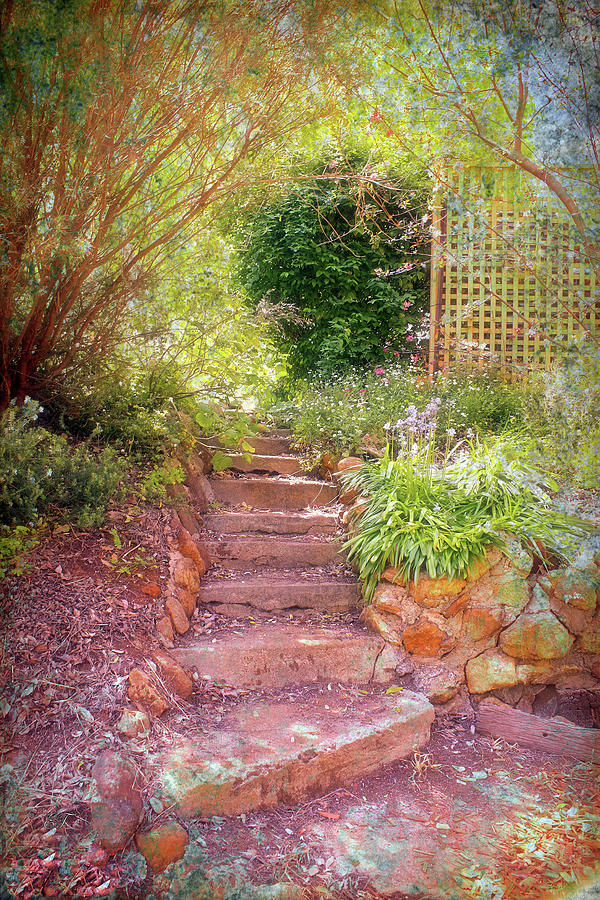 Up the Garden Steps Photograph by Elaine Teague