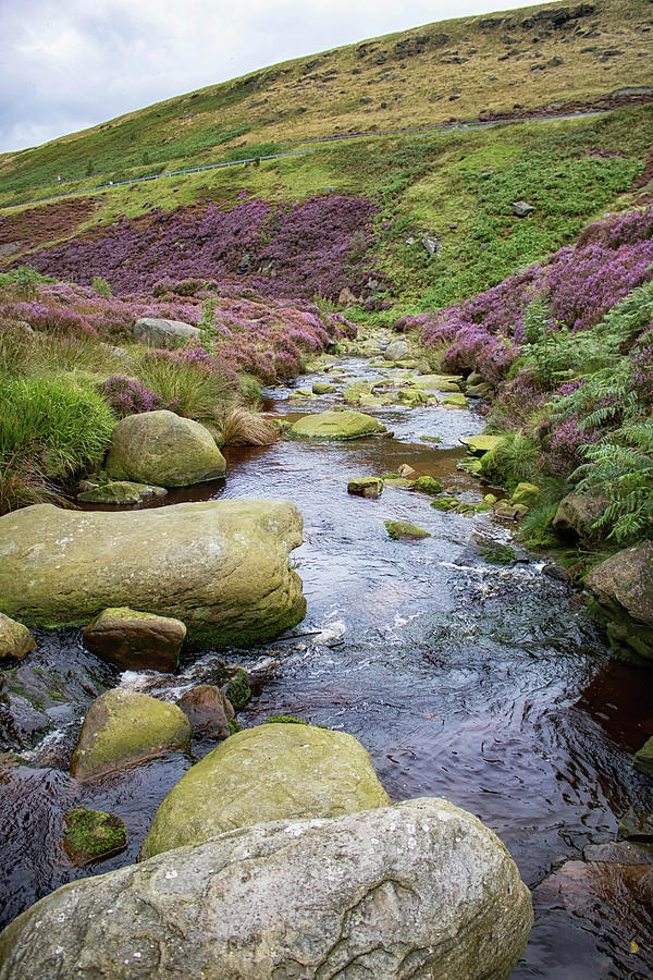 Up On The Moors Photograph
