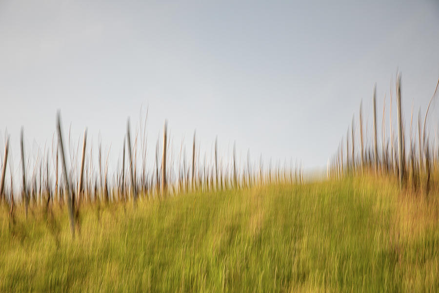 Vineyard Photograph - Up the Vineyard Hill in Zornheim Rheinhessen by Marion Rockstroh-Kruft Vineyard Photograph - Up the Vineyard Hill in Zornheim Rheinhessen by Marion Rockstroh-Kruft