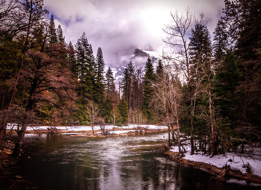 Up the Yosemite Merced River Valley Photograph by Norma Brandsberg