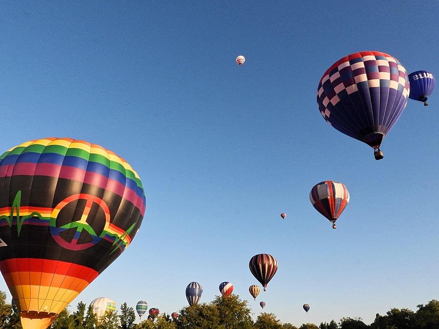 Up Up and Away Photograph by Bobbie Moller - Fine Art America