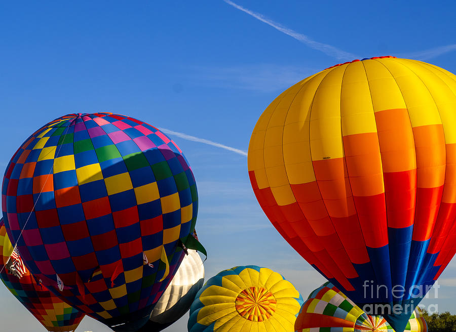 Up Up and Away Florida Hot Air Ballon Festival Photograph by L Bosco