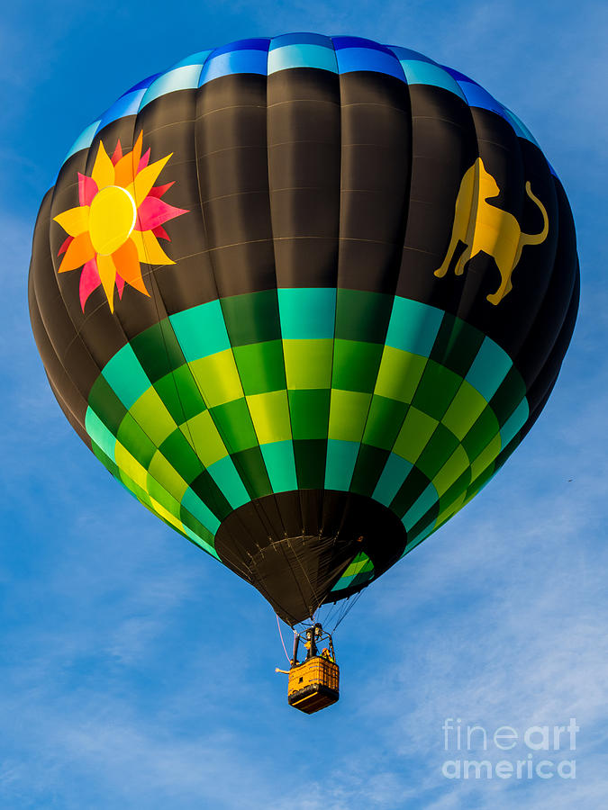Up Up And Away Florida Hot Air Ballon Festival Multi-colored Balloon Photograph by L Bosco